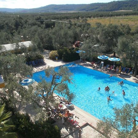 Appartamenti Gallo Club Vieste Zewnętrze zdjęcie